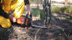 How Our Tree Care Process Works  in  Troy Hills, NJ