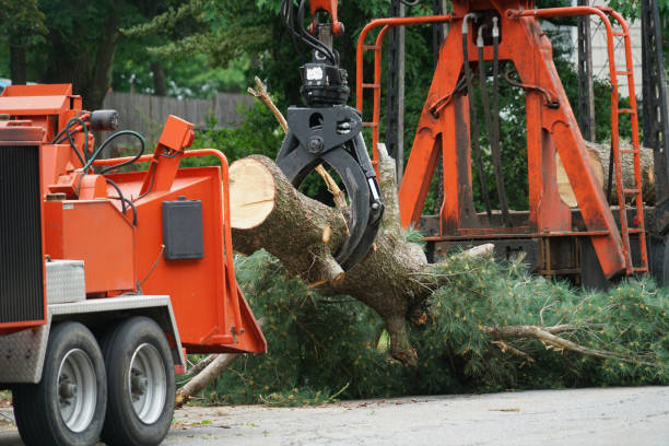 Best Firewood Processing and Delivery  in Troy Hills, NJ